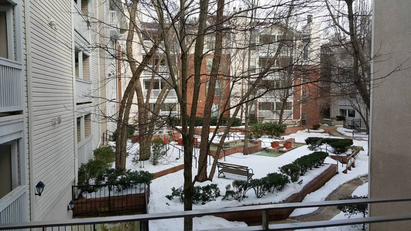 12654661_10153777479267368_4181709288147642983_n